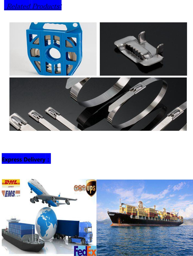 Edelstahlkabelbinder China-Fabrik-China-Lieferanten 304 und 316 materielle
